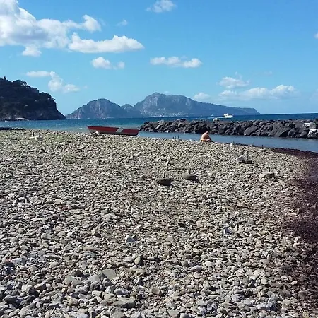 住宿加早餐酒店 I Guardiani Del Mare *